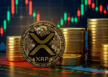 Can XRP Rally as Binance Whale Outflows Decline?