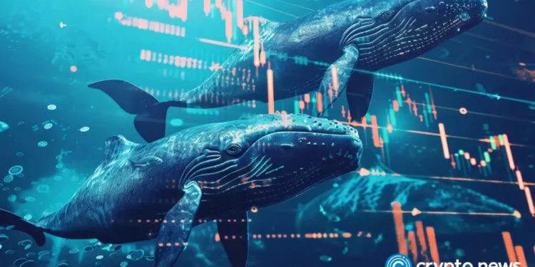 Early Bitcoin whale sells 1,000 BTC as market selling pressure builds