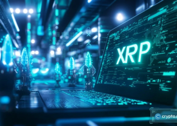 XRP at $10,000? David Schwartz Pushes Back on Bold Prediction